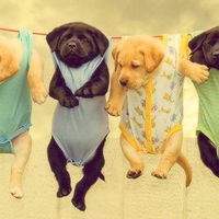 宋晓峰 文松经典搞笑小品 赌侠