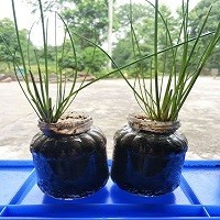 《独孤天下》宇文毓对独孤般若爱护有加,却不