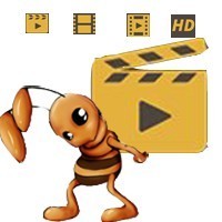 杨林大战各路诸侯,秦家锏最终对战囚龙棒_腾讯