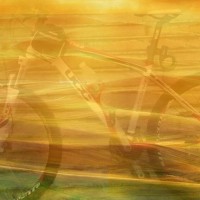 神了 敲碗敲出最美音乐 最后猫咪更叼爆笑搞笑