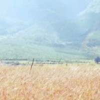 创造101:陈芳语,李紫婷,吴映香实力演绎《prob