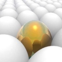 怎么看一只股票的市盈率?动态市盈率和静态市