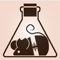 当你所熟悉的英文歌被直译成了中文版,笑出猪