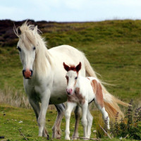 爆笑小品,奇葩学生玩坏老师