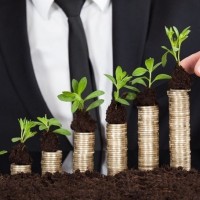 2017年走了一半,总结下股市行情