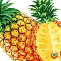 今夜迷情 情人的条件