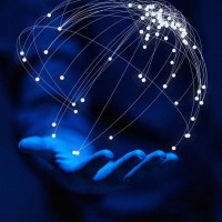 全新种菜机器人,可以自动种菜,菜地收菜