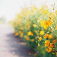 秦时丽人明月心拍摄现场花絮,太子丹和张彬彬