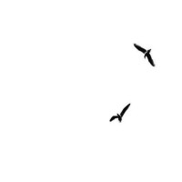 大鹏《缝纫机乐队》愉快数星星,大鹏请放开古