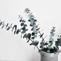 震惊!老外的数学可能都是我大天朝的体育老师