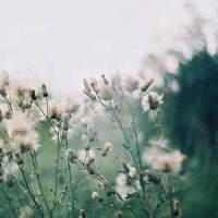 复联3中雷神带领格鲁特和火箭浣熊登陆瓦坎达