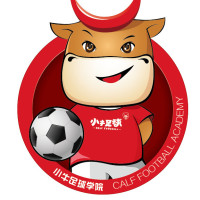 2017小牛足球一期训练营嘉年华活动_腾讯视频