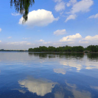 一辈子难忘的,是胡歌的笑,刘亦菲的凝视,净化一