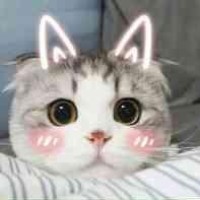 微信掉表情方法,还有什么是可以从天而降的