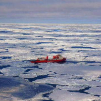 如何超速瘦小腿?每天只要5个动作,肌肉腿瘦成