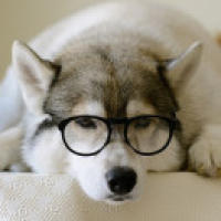 李宇春 - 下个路口见 - 2016酷狗蘑菇动漫音乐节