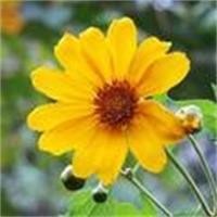 重庆时时彩专业后二做号技巧-稳定盈利%