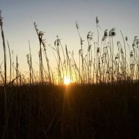 城市战争:俄罗斯与车臣反叛军的巷战电影《炼