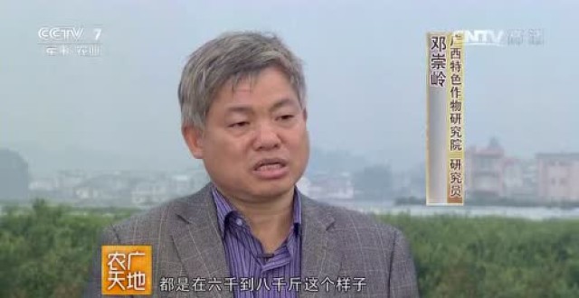 农财网柑桔通