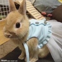 睡前用热水洗脚有什么好处