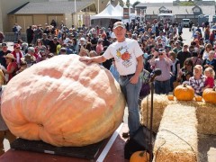 车祸后让自己获得新生,95岁瑜伽大师外表年轻