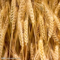 父母爱情:关晓彤羡慕姑姑家房子大,却不知道姑