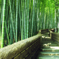 如何将1M的照片压缩至100K以内