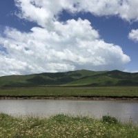 了解您的步态类型-跑步训练