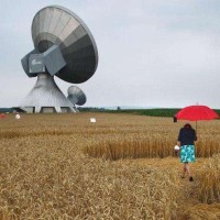 奇趣:这样的捕猎神器估计要花不少钱吧!