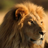 正片:甜馨生日会示爱妈妈 赵丽颖新片花絮秒变