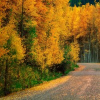 简单易学的英语儿歌,幼儿园英语益智早教儿歌