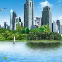 儿童歌曲《拔萝卜》单曲版18