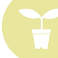 刘恺威现场唱粤语歌太阳伯伯这是小糯米最喜欢