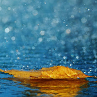 开讲啦:王健林和马云赌一个亿洒洒水啦,大不了