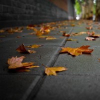 《爱情保卫战》上司告白离婚女下属涂磊认真分