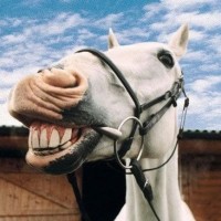 农村小哥街头卖鞋,自编一套推销词,瞬间被一抢