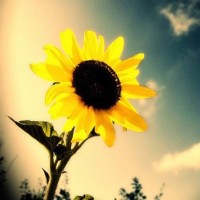 爱情保卫战:男友每天出去鬼混,懂事校花嘶吼惹