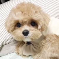 高中生第一次上生理课,男生女生的反应完全不