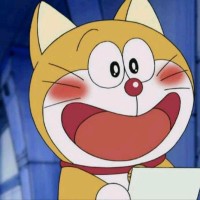 韩国人讨论双11,就喜欢看韩国人一副没见过世