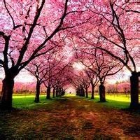 足球小将万项洗完头就好了,CC有个小辫,半天吹