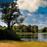 玉瑾作弊却被抓了现行,柳永传授作词技巧