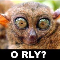 MC天佑 毛不易《如果有一天我变得很有钱》很