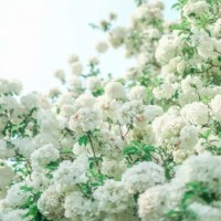 黄飞鸿铁公鸡斗蜈蚣,童年超级喜欢看黄飞鸿!