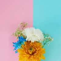 文胸穿搭有讲究, 女生必看男生勿进