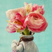 经常吃南瓜包,从此定宝宝不便秘