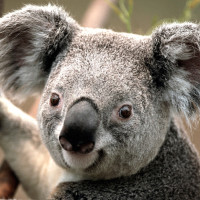 从你的全世界路过片段柳岩分手岳云鹏,我承认