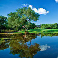 男人有钱容易学坏,女人有钱也不比男人差