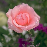 真人真事河南商丘夏邑定亲都要二十万,这彩礼