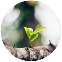 薛之谦这首少有的古风歌曲,词曲调都很经典,2