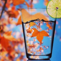 爱情保卫战最搞笑一期:这只铁公鸡让涂磊和场